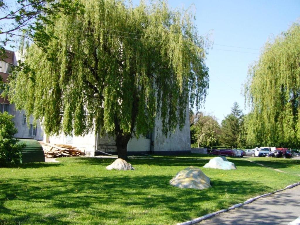 Hotel Profspilkovyi Lutsk Luaran gambar