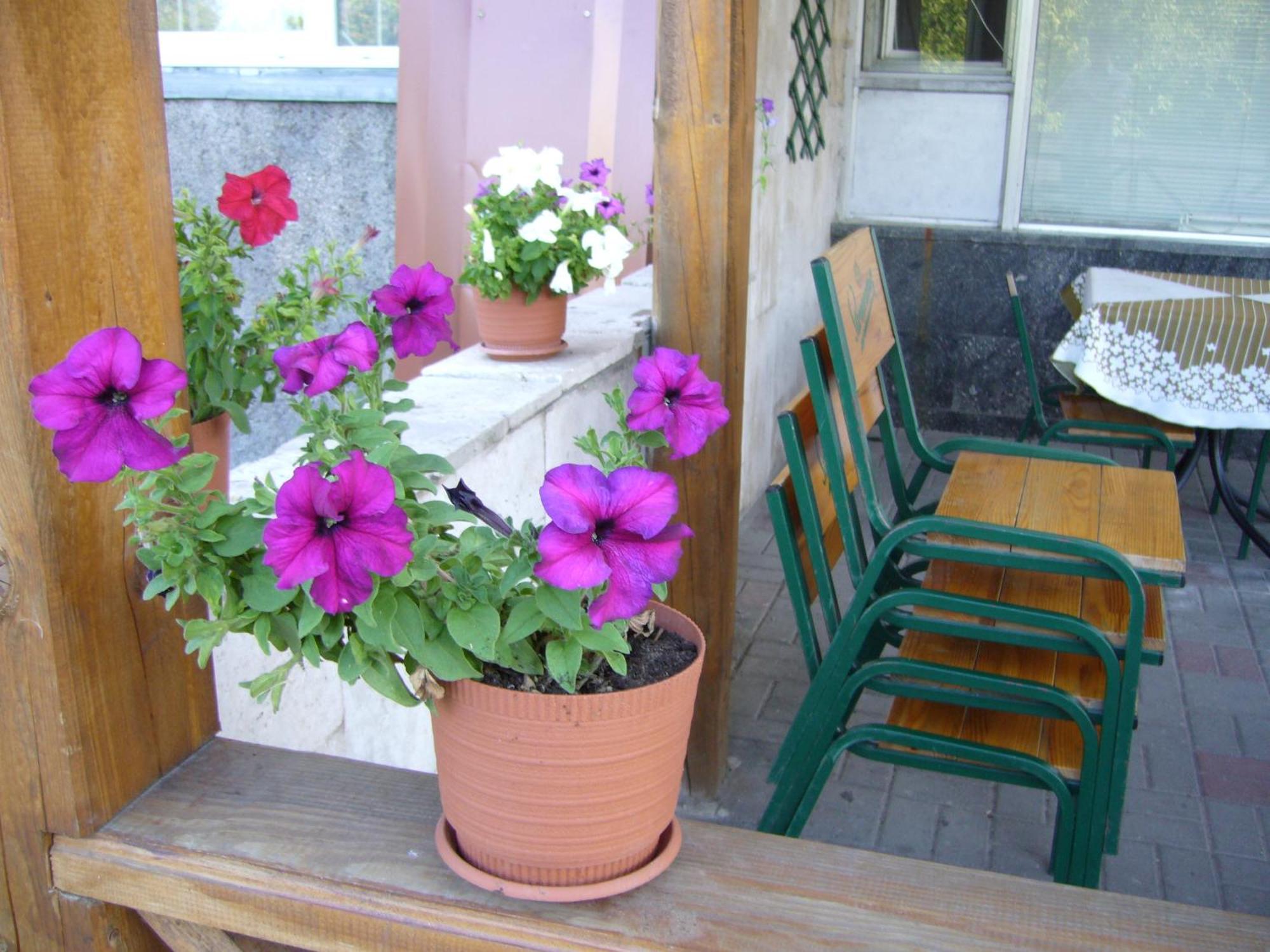Hotel Profspilkovyi Lutsk Luaran gambar